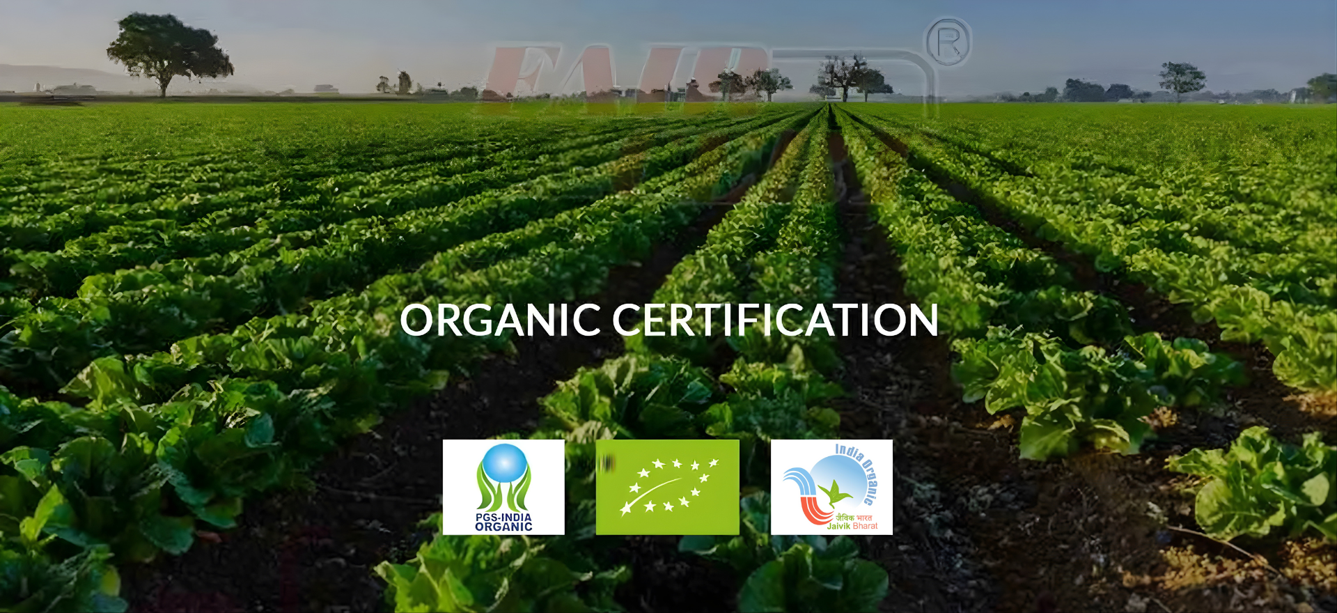 FairCert Certification Services Pvt. Ltd.